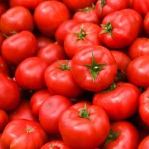 Tomates ronde