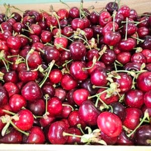CERISE +28 grosse