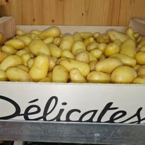 Pomme De Terre DELIKATESS