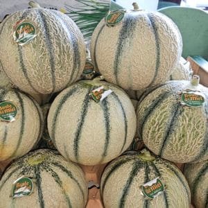 MELON boule de miel