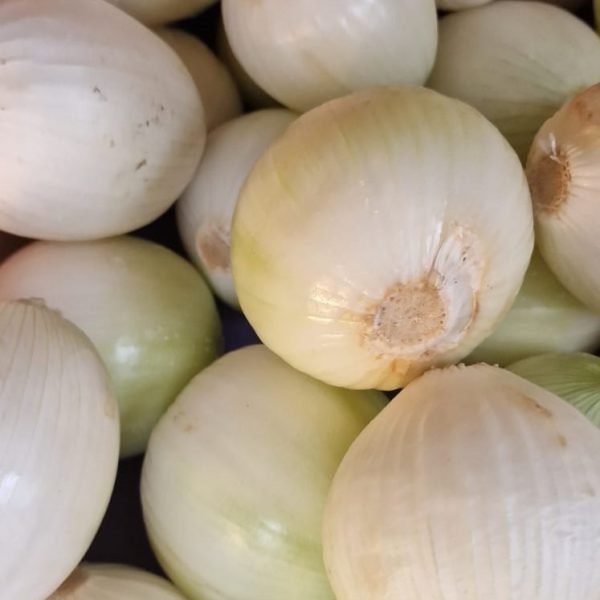 OIGNON BLANC VRAC – Image 2