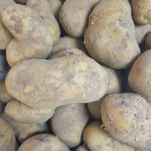 Pomme De Terre Spunta