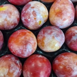 PRUNE queche