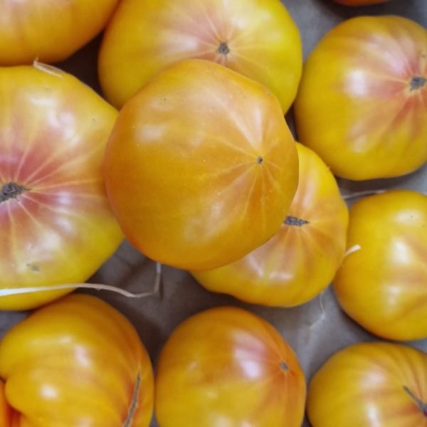 TOMATE ANANAS