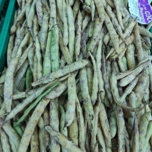 HARICOT COCO PAIMPOL