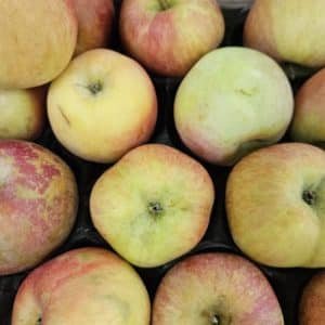 POMME FUGI EXTRA