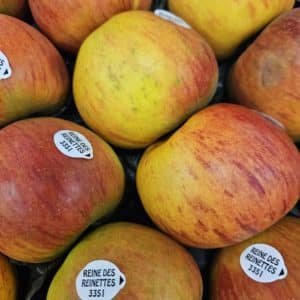 POMME REINE REINETTE