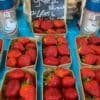 FRAISE DREAM