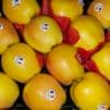 POMME GOLDEN EXTRA