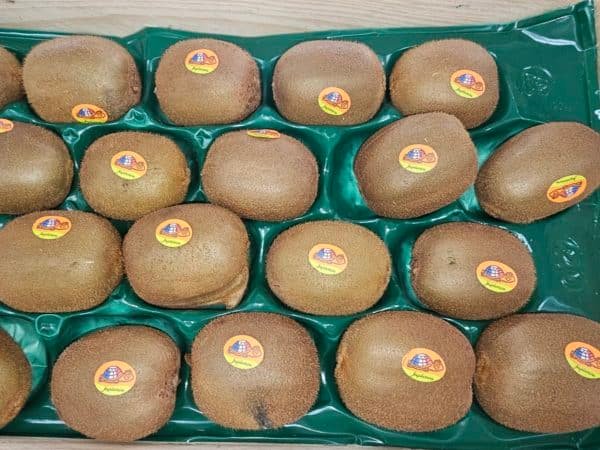 KIWI VRAC GROS nouvelle Zélande