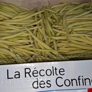 HARICOT BEURRE