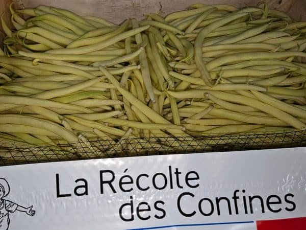 HARICOT BEURRE