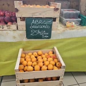 ABRICOT COLIS