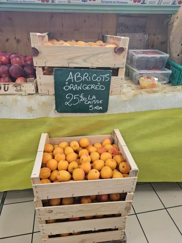 ABRICOT COLIS
