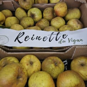 Pomme reinette du viguan